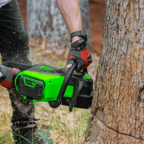 DIY Tree Cutting - MARTIN'S TREE SERVICE INC. DIY Tree Cutting