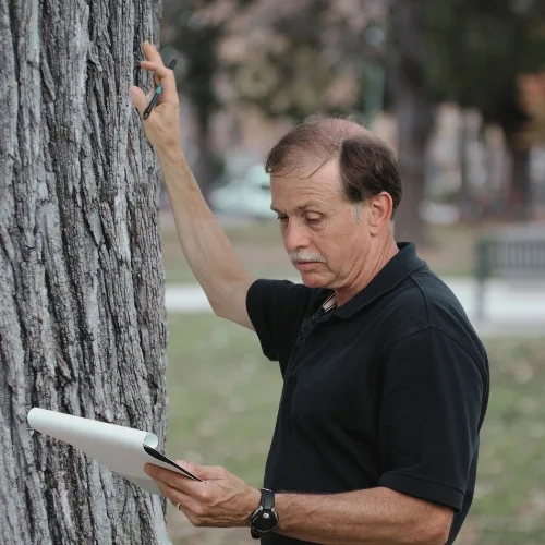 Tree Inspection - MARTIN'S TREE SERVICE INC. Tree Inspection