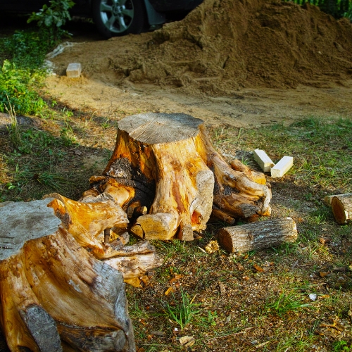 Stump Grinding