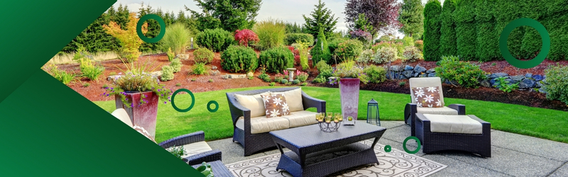 Tree Removal Services in Kitchener