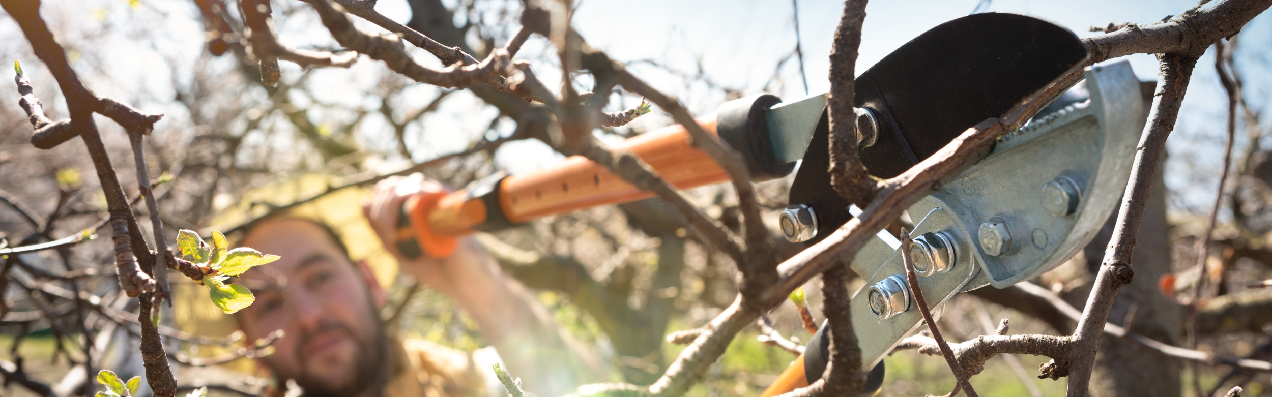 Summer Mulching _ Martin’s Tree Service Content Image - MARTIN'S TREE SERVICE INC. summer mulching _ Martin’s Tree Service