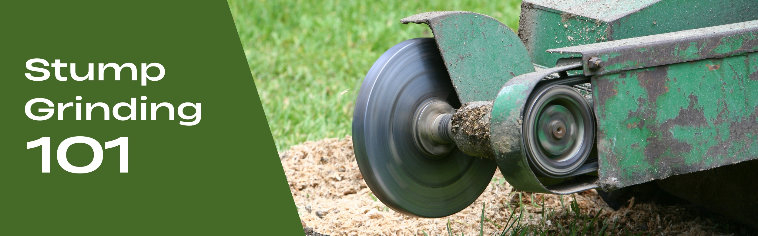 Stump Grinding 101 _ Martins Tree Service