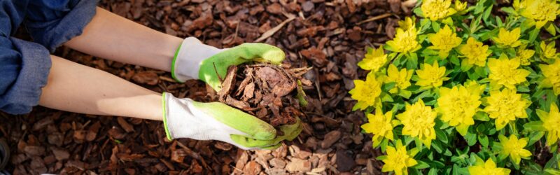 Summer Mulching _ Martins Tree Service