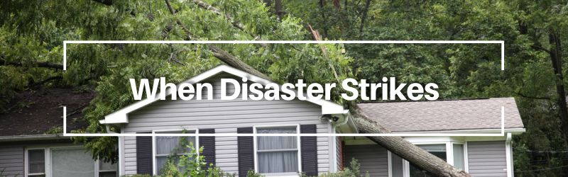 A fallen tree resting on the roof of a house surrounded by greenery, with the text 'When Disaster Strikes' overlaid in a white rectangular frame.