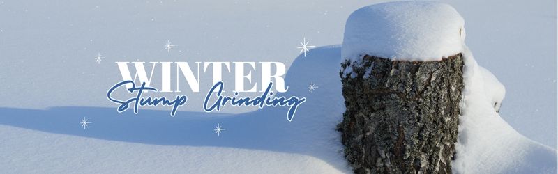 If you need winter tree stump grinding services, call the professionals at Martin's Tree Service for effective solutions.