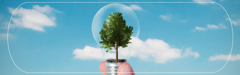 Symbolic image of a green tree inside a light bulb, representing energy-efficient landscaping and sustainability