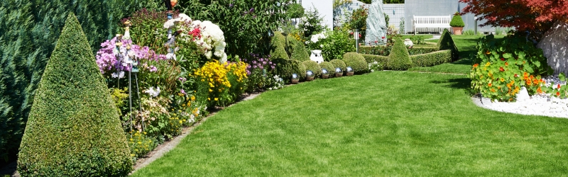 In content -Why Stump Grinding Improves Lawn Aesthetics - MARTIN'S TREE SERVICE INC. Beautifully maintained lawn with manicured hedges and colorful flower beds, showcasing the results of effective lawn care and stump removal.