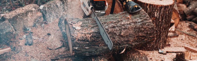 Chainsaw cutting large tree log during DIY tree removal, showing potential safety hazards.