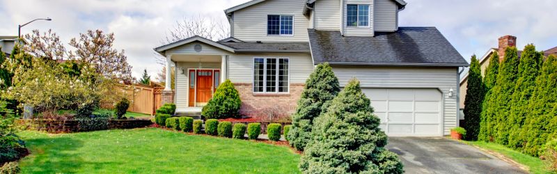 The Final Word on Summer Tree Pruning - MARTIN'S TREE SERVICE INC. Well-maintained suburban home with neatly pruned trees and landscaped front yard