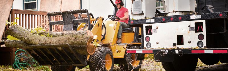 Tree Service Worker Removing Timber from Work Site - MARTIN'S TREE SERVICE INC. Professional tree removal worker using machinery to haul cut timber