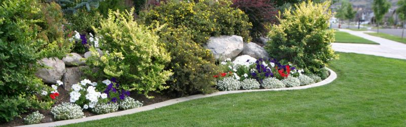 Landscaped Yard - MARTIN'S TREE SERVICE INC. Landscaped Yard
