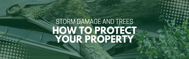Banner-Storm Damage and Trees How to Protect Your Property - MARTIN'S TREE SERVICE INC. Banner-Storm Damage and Trees How to Protect Your Property