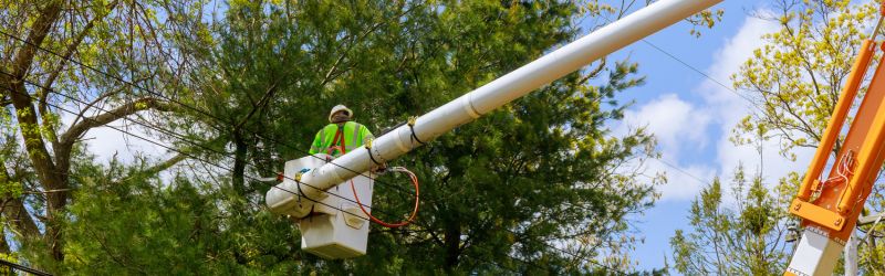 Pruning Trees Near Electric Wires