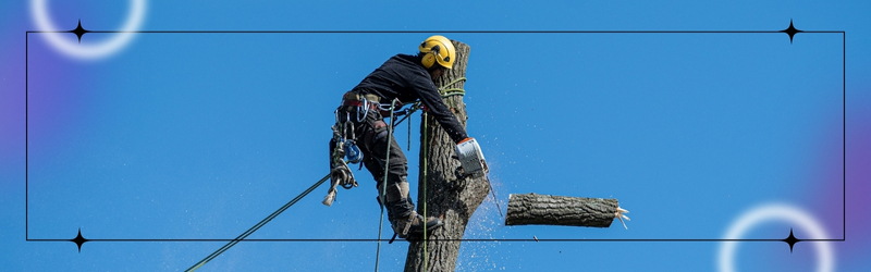 Guelph Tree Removal_ How Certified Arborists Spot Risks You Cant See