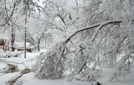 A residential neighborhood street covered in deep snow with heavy, ice-laden tree branches sagging over a driveway.
