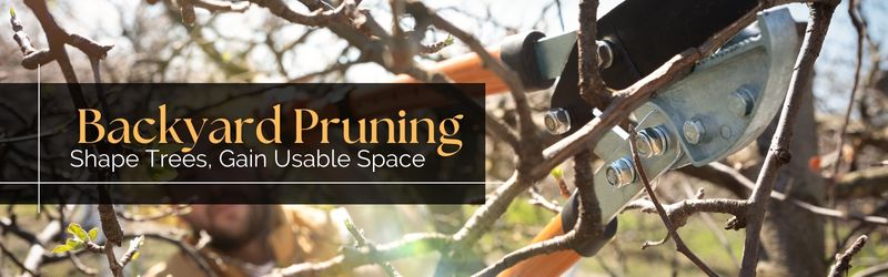 Close-up of metal bypass loppers cutting a branch, with a "Backyard Pruning" text overlay.