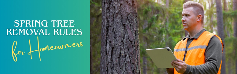 An arborist in a high-visibility safety vest holding a tablet and inspecting a large tree in a forest, next to text that reads "Spring Tree Removal Rules for Homeowners."