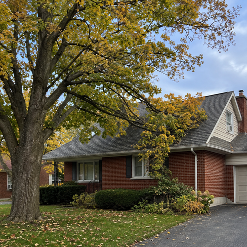 Brick suburban house with a large tree in the front yard, yellow-orange autumn leaves scattered on the lawn and driveway to the right.